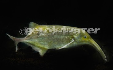 OTHER 〜 その他 〜